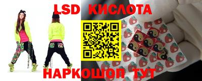 гидра Будённовск