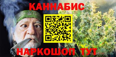 гидра Будённовск