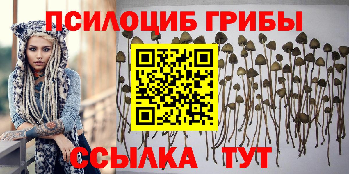Псилоцибиновые грибы прущие грибы  Вход с VPN  Ефремов 