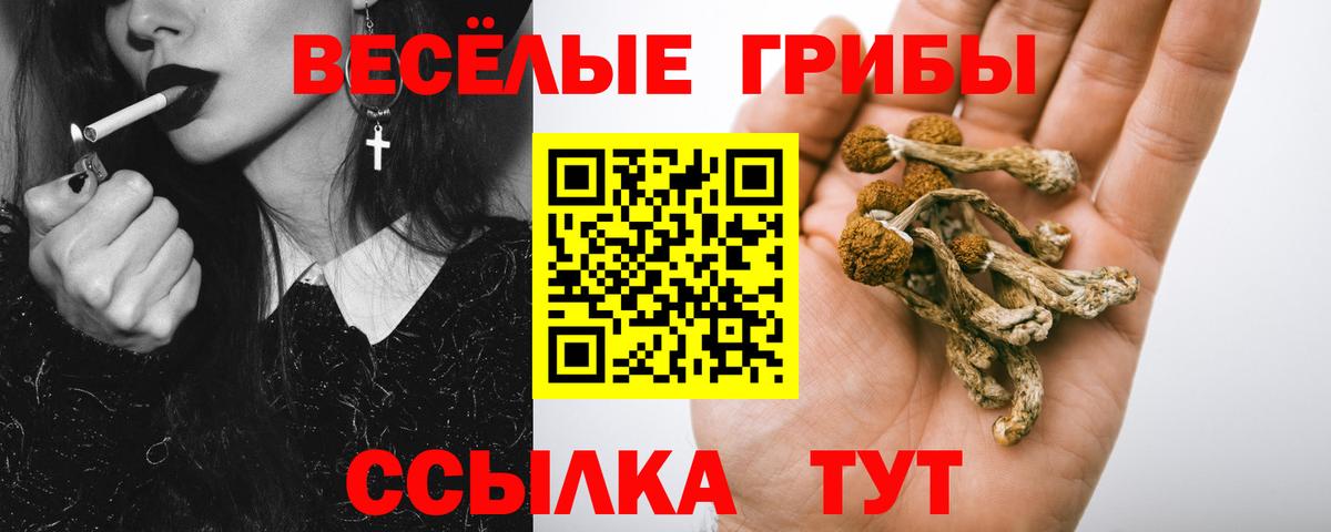 Ефремов  Вход с VPN  Меф МЯУ МЯУ кристаллы  Cocaine  ГАШ  Марихуана 